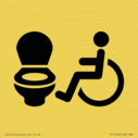 i069-accessible-toilet-ltr--symbol-only~